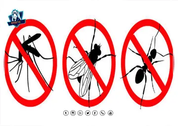 عند مكافحة الحشرات بجدة يتم استخدام مبيدات ذات جودة عالية والتي تكون فعالة في التخلص من الحشرات دون التأثير الضار على البيئة أو صحة الإنسان.