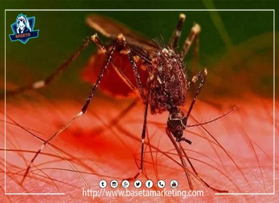 الأنوفيلة جنس من البعوض ناقل للأمراض المميته