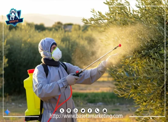 عامل يرتدي معدات وقاية كاملة أثناء تطبيق حلول مكافحة الآفات من شركة بسيطة لحماية مزارع الزيتون من ذبابة الزيتون.